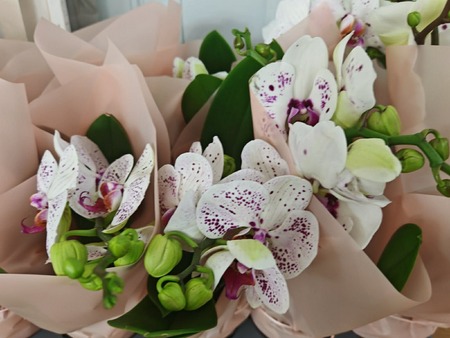 Zaključna prireditev projekta Moja dežela – lepa in gostoljubna 2025